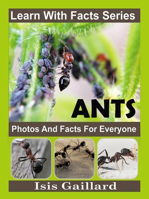 cover image of Ant Photos and Facts for Everyone